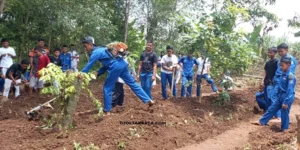 Program Penghijauan SMP, Pelajaran Mahal dari Bencana Sumatera